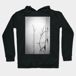 Reflexion Hoodie